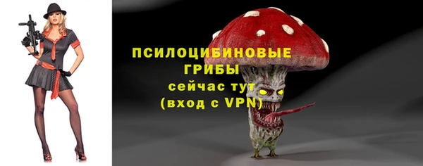 марки lsd Белокуриха
